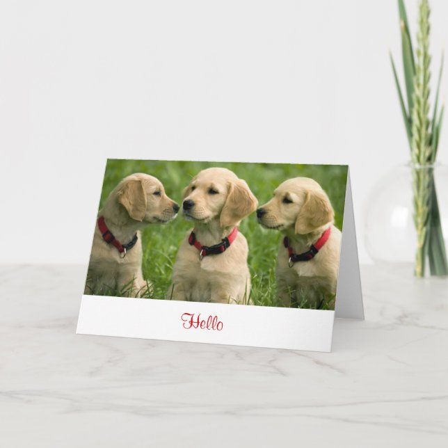 Cartão Hello Golden Retriever Puppies  Blank Note Card (Frente)