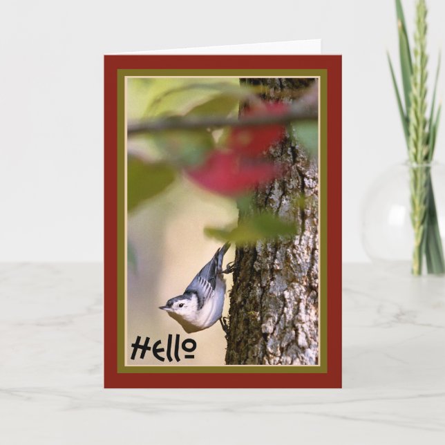 Cartão Hello - Nuthatch Greeting Card (Frente)