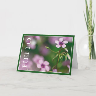 Cartão Hello - Pink Wood Sorrel Greeting Card