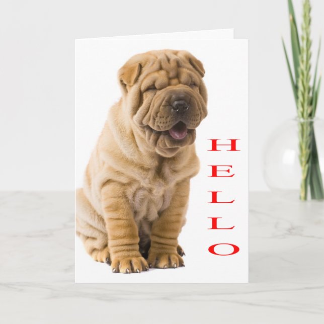 Cartão Hello Shar Pei Puppy Dog Blank Card (Frente)