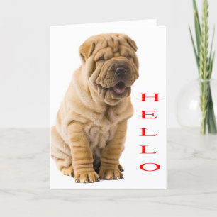 Cartão Hello Shar Pei Puppy Dog Blank Card
