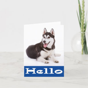 Cartão Hello Siberian Husky Puppy Dog Blank Note Card
