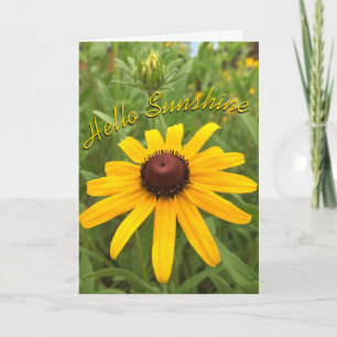 Cartão Hello Thinking of You Rudbeckia Flower Custom