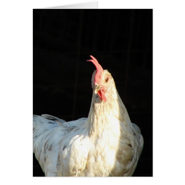 Cartão Hen de abertura azul (Frente)