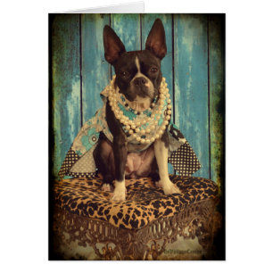 Cartão Hera a Boston Terrier