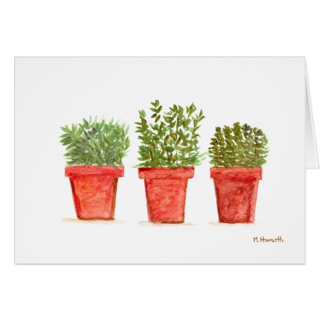 Cartão Herbs thyme rosemary menta (Frente Horizontal)