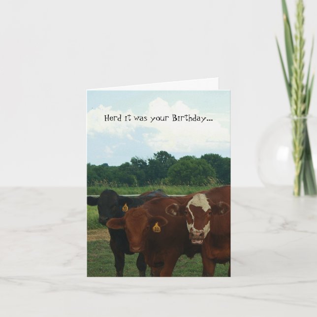 Cartão Herd it was Your Birthday Cow Card (Frente)