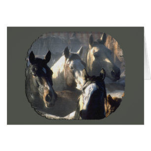 Cartão Herdeiro de Cavalo