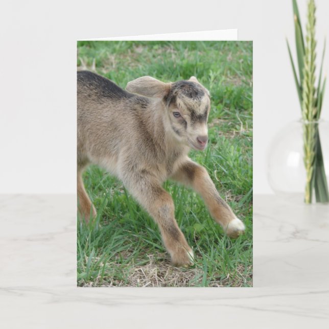 Cartão Here Comes Thunder (Frente)