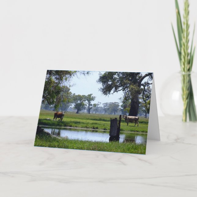 Cartão Here's looking at you (Frente)