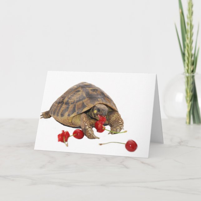Cartão Hermann Tortoise and Strawberries (Frente)