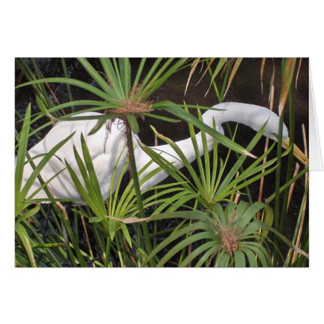 Cartão Heron (Frente Horizontal)