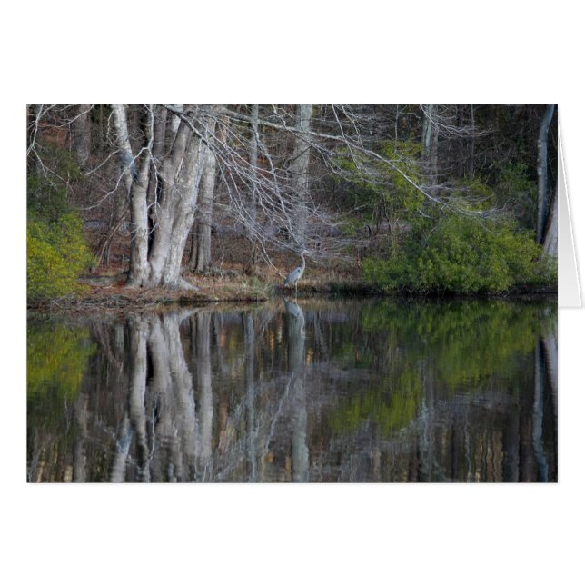 Cartão Heron Camouflage (Frente horizontal)