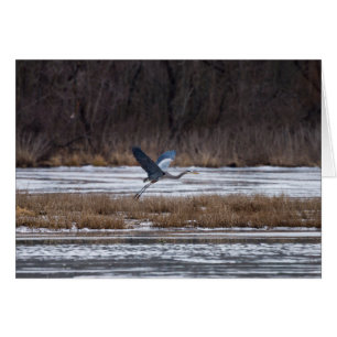 Cartão Heron decola