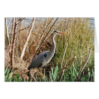 Cartão Heron Gozando do Sol