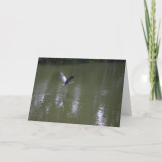 Cartão Heron Over Quiet Waters Greeting Card
