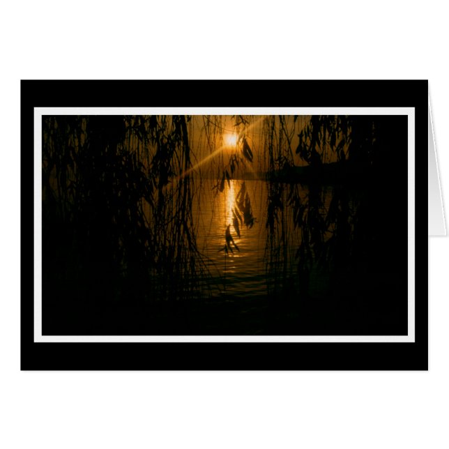 Cartão Herzliche Anteilnahme 1 Karte (Frente Horizontal)