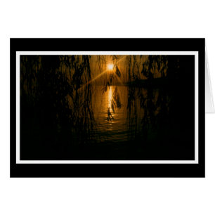 Cartão Herzliche Anteilnahme Karte