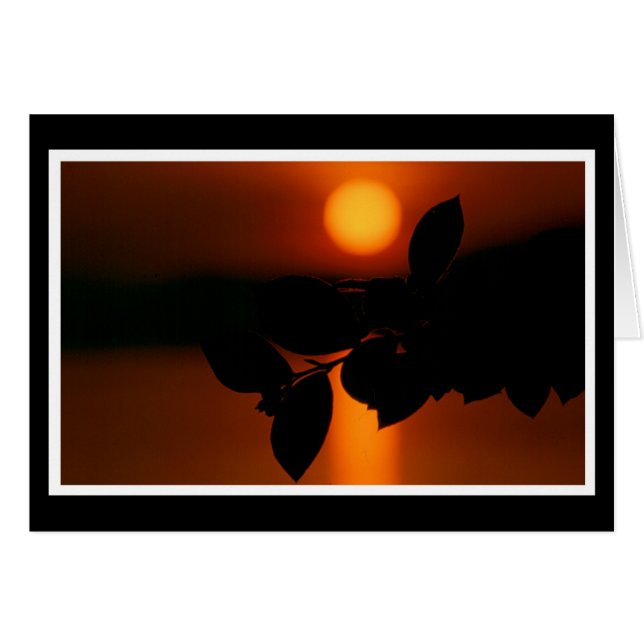 Cartão Herzliche Anteilnahme Karte (Frente Horizontal)