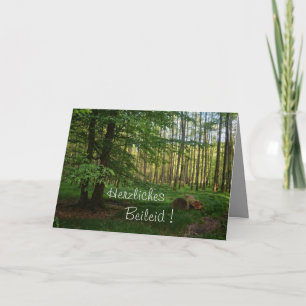 Cartão Herzliches Beileid ! Grüner Wald