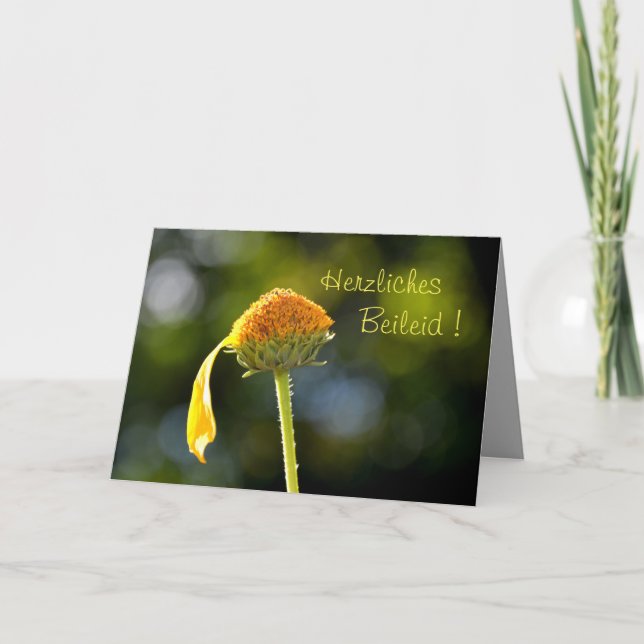 Cartão Herzliches Beileid ! Mit gelber Blüte (Frente)