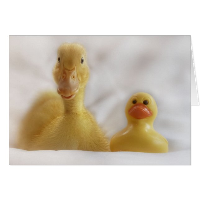 Cartão Hetero (Frente Horizontal)