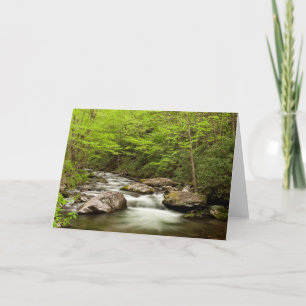 Cartão Hetero Forrapk flui através da floresta