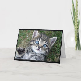 Cartão "Hewwo" Kitty