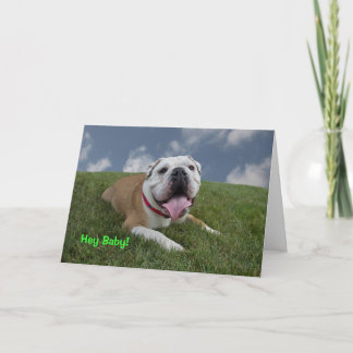 Cartão Hey Baby! Bulldog Birthday Card