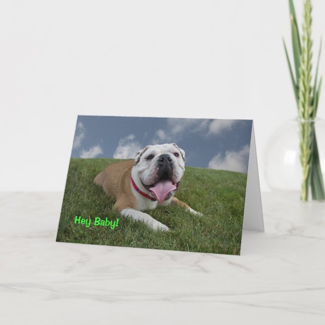 Cartão Hey Baby!  Bulldog Birthday Card (Frente)