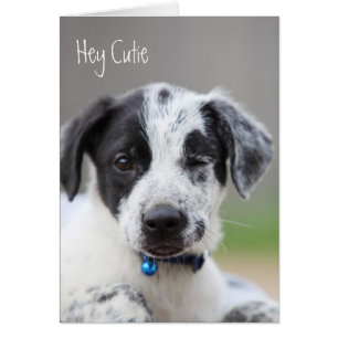 Cartão Hey Cutie