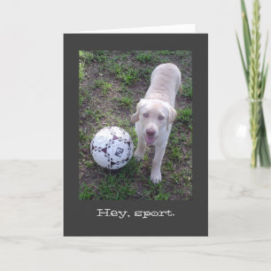 Cartão Hey, Sport. Yellow Lab Puppy All Occasion Card