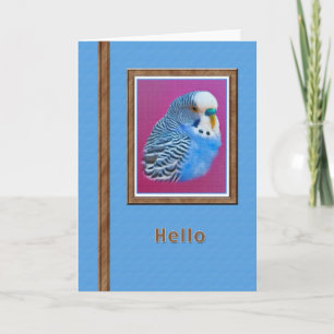Cartão Hi/Hello Card with Blue Parakeet
