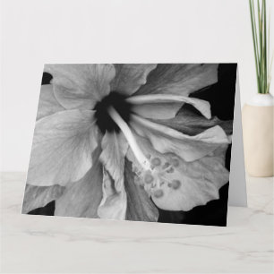 Cartão Hibiscus