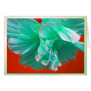 Cartão Hibiscus azul