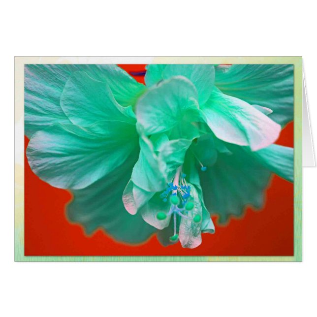 Cartão Hibiscus azul (Frente Horizontal)