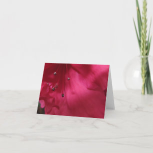 Cartão Hibiscus Blank Notecard