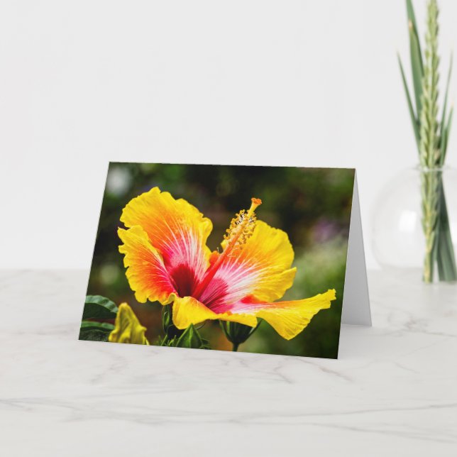 Cartão Hibiscus Bright Yellow com Red Heart (Frente)