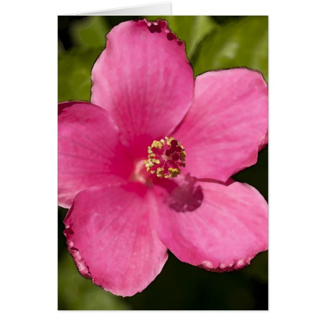 Cartão Hibiscus cor-de-rosa (Frente)
