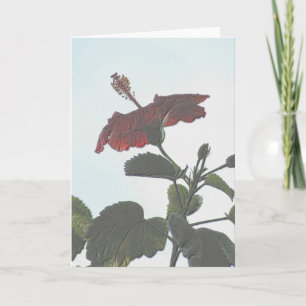 Cartão Hibiscus Escuro Emboscada