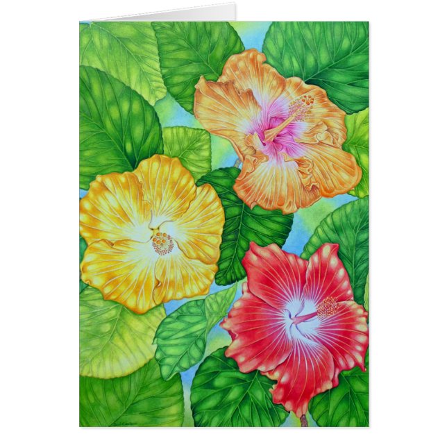 Cartão Hibiscus havaiano (Frente)