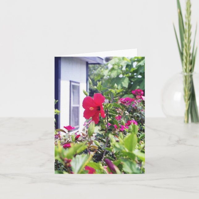 Cartão Hibiscus Hello (Frente)