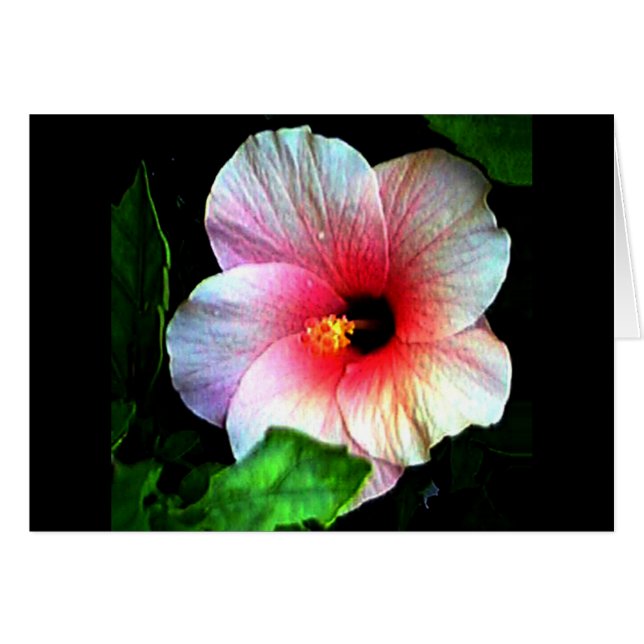 Cartão Hibiscus jGibney O Museu Zazzle (Frente Horizontal)