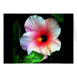 Cartão Hibiscus jGibney The Museum Zazzle
