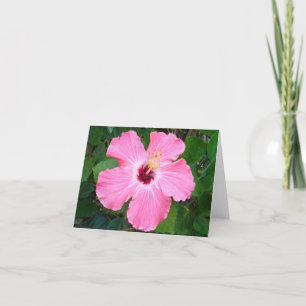 Cartão Hibiscus - N