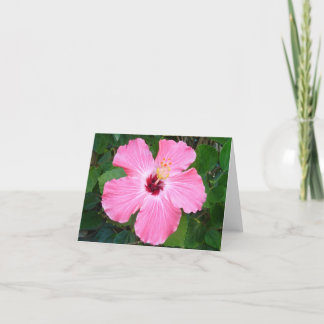Cartão Hibiscus - N