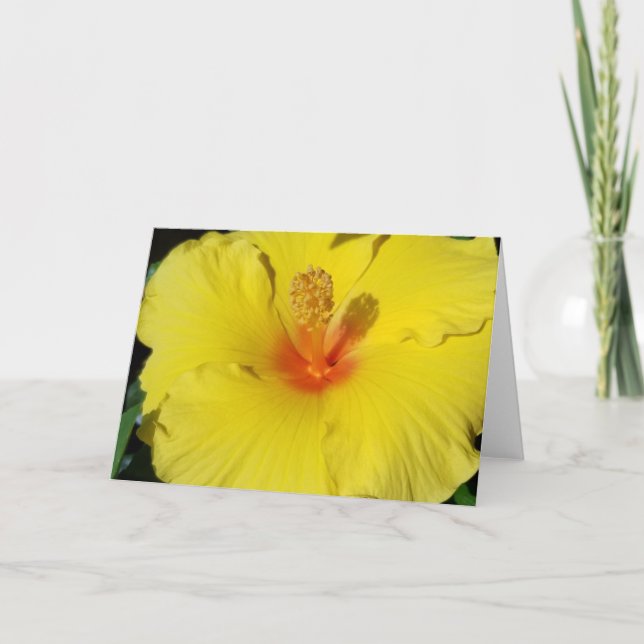 Cartão Hibiscus Notecard (Frente)