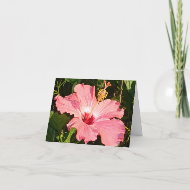 Cartão Hibiscus - R (Frente)