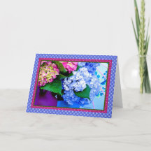 Hidrangea cores e bordas IV