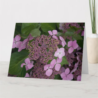 Cartão Hidrangea rosa
